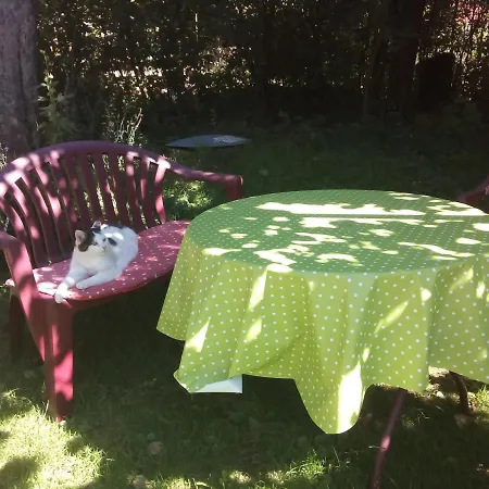 Neueroeffnung, 2 Wunderschoene Ferienwohnungen Im Gruenen Maierhofen  Exterior photo