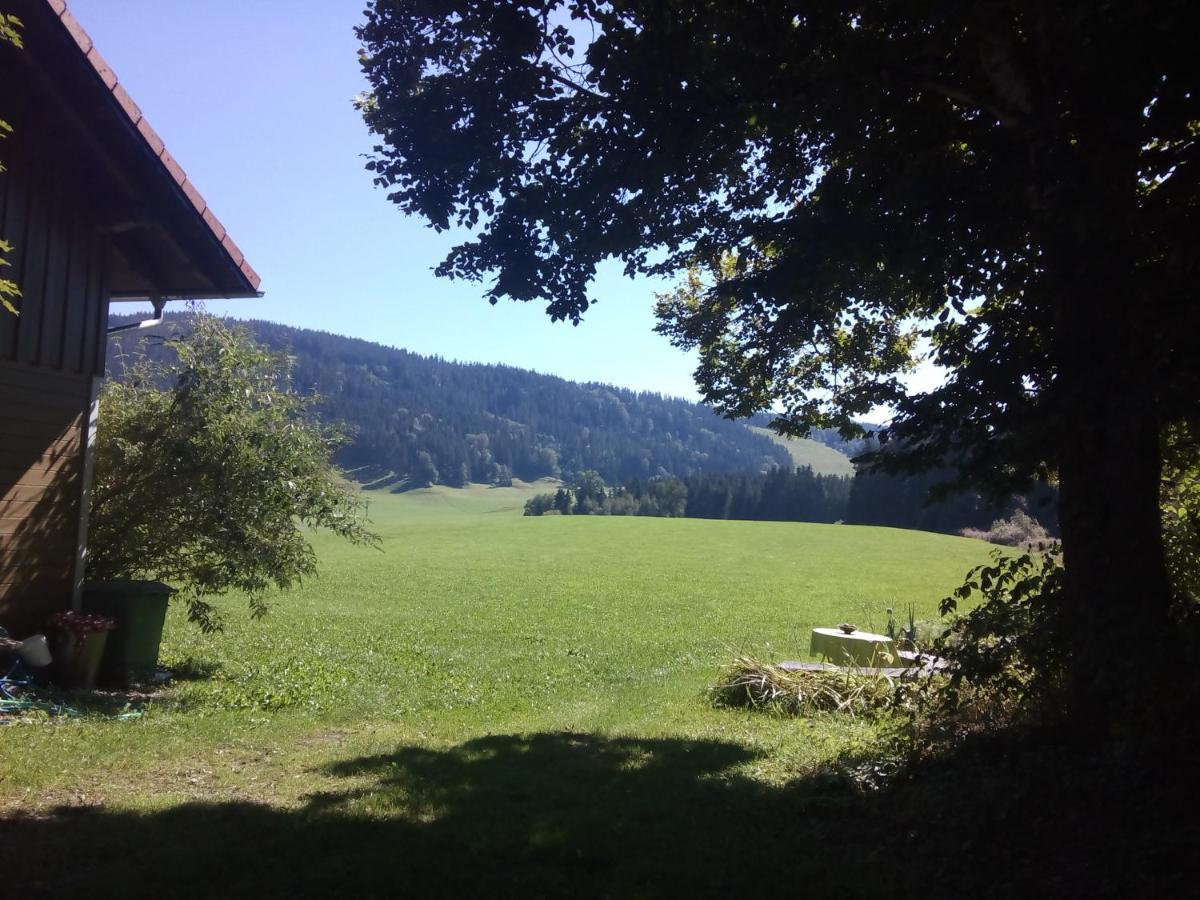 Neueroeffnung, 2 Wunderschoene Im Gruenen Apartment *